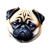 chien bouledogue français
