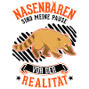 Coati Coati Proboscis Bear