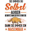 Coati Coati Proboscis Bear