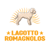 Lagotto Romagnolo Wasserhund
