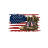 Vietnam Veteran