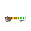 Vietnam Veteran