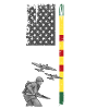 Vietnam Veteran