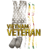 Vietnam Veteran