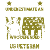 Vietnam Veteran