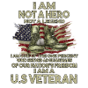 Vietnam Veteran