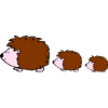 Hedgehog Family