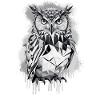 Geometric owl