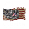 Vietnam Veteran