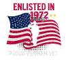 Vietnam Veteran
