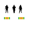 Vietnam Veteran