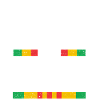 Vétéran du Vietnam