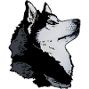 Husky head