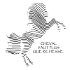 Cheval Noir et Blanc