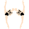 ABC