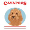 Cavapoo Hund Cavoodle Hundebesitzer Geschenk
