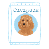 Cavapoo Hund | Cavoodle Hundebesitzer Geschenk