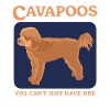 Cavapoo Hunde Cavoodle Hundebesitzer Geschenk