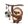 Photography Sloth