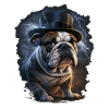 Bulldog with hat