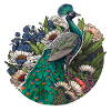 Schöner Pfau