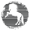 Black and White Horse