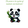 Panda-Skin