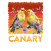 Canaries Canary Bird Bird Lovers