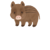 Sanglier Lion