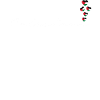 Palestine