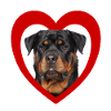 Dog Lovers - Dogs Heart - Rottweiler