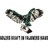 Falknerei Adler Design