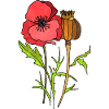 Fleur