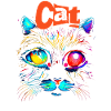 Cat designs