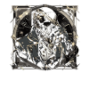 Skull Skull Skulls Skull Skeleton