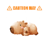 Capybara Zootier Design