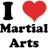 i love martial arts