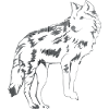 Loup