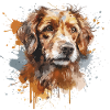 Hundeshirt