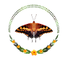Butterfly Spotted Joker Flowers