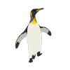 Pinguin