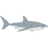 Hai