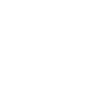 Âne / Tête / Portrait