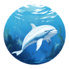 White Dolphin