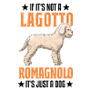 Lagotto Romagnolo Water Dog