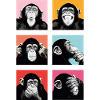 Pop-Art Affe Farbexplosion