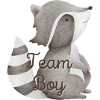 Team Boy