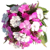 Bouquet of carnations