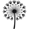 Dandelion Design