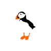 Puffin Joke Puffins Puffins